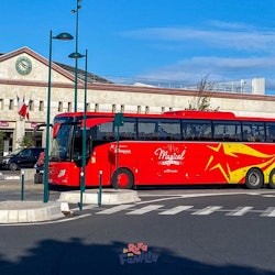 Paris: One-Way Bus Transfer from Disneyland to Charles de Gaulle Airport - 1