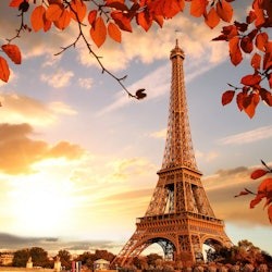 Paris: Roundtrip by Bus - 1
