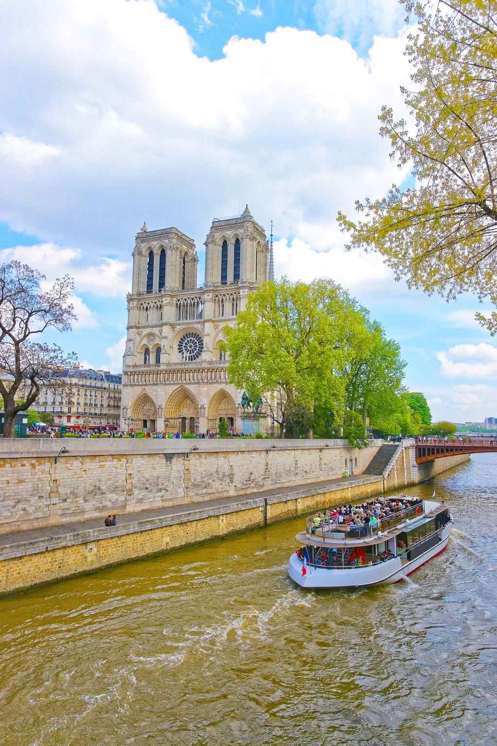 Paris Saver Combo Notre-Dame, Eiffel Tower & Seine Cruise (Spanish) - 1