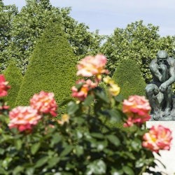 Paris: Top 3 Museums - 1