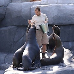 Paris Zoological Park: Entry Ticket - 1