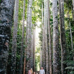 Paronella Park: Entry Ticket - 1