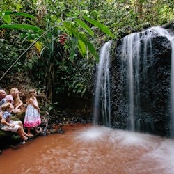 Paronella Park: Entry Ticket - 3