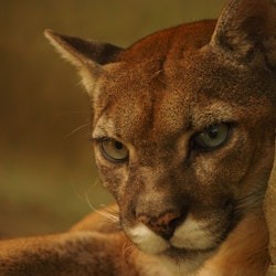 Parque de la Conservación Medellín: Skip The Line Ticket - 2