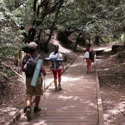 Parque Rural de Anaga: Guided Forest Tour with Wellness Activities - 3