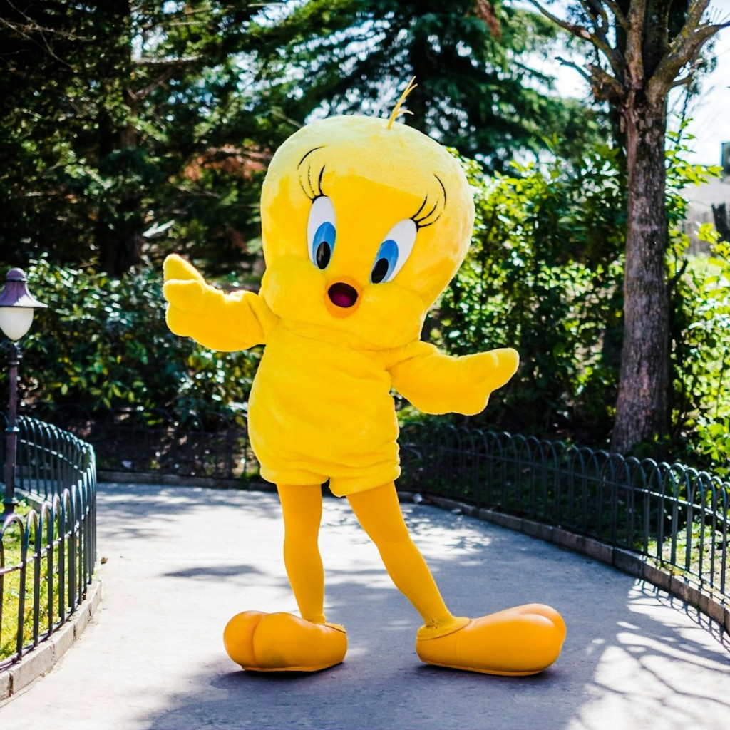Parque Warner Madrid: Eintrittskarte - 1 Day - 3