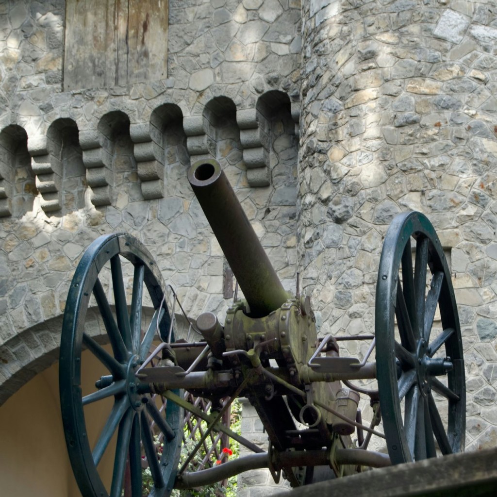 Castell Peleș: Tiquet d'entrada - 3