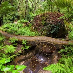 Pena Park in Sintra: Entry Ticket - 2