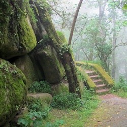 Pena Park in Sintra: Entry Ticket - 3