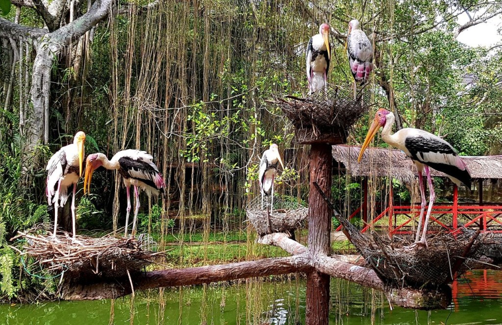Penang Bird Park (Penang Bird Park - Admission (International Travellers)) - 1