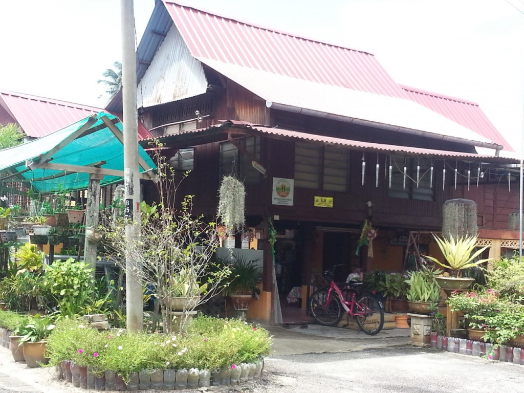 Penang Round Island Tour (Penang Round Island - Afternoon Tour) - 2