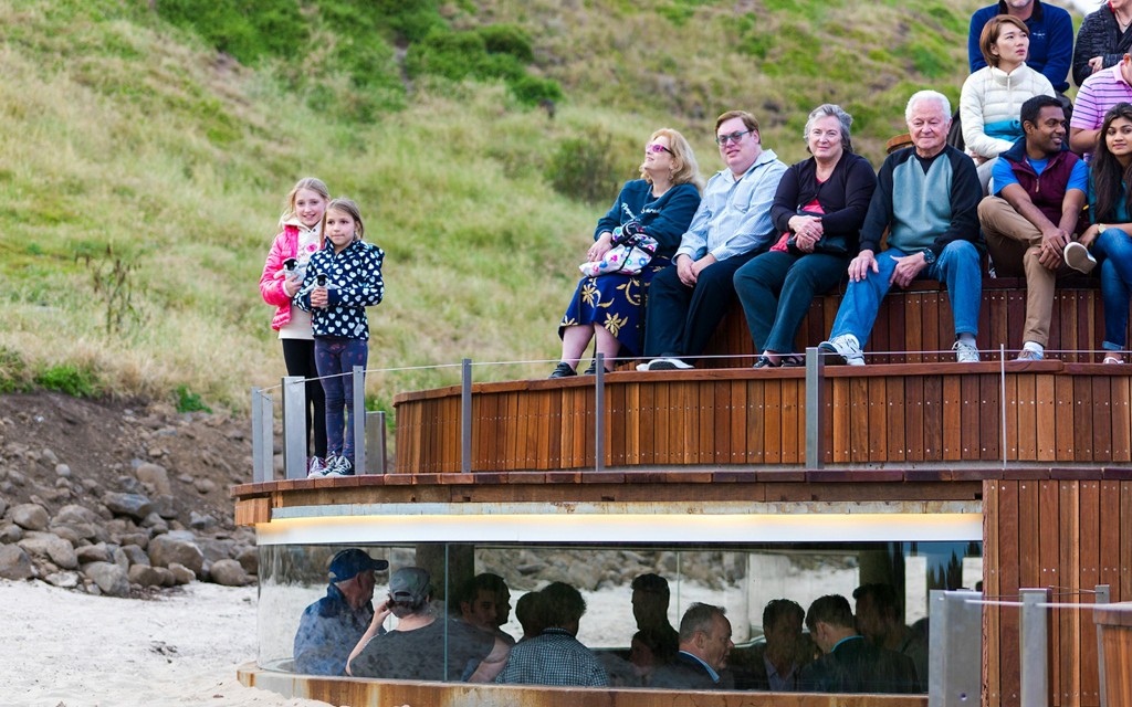 Biglietti per la parata dei pinguini a Phillip Island (Penguins Express Afternoon Day Tour from Melbourne) - 2