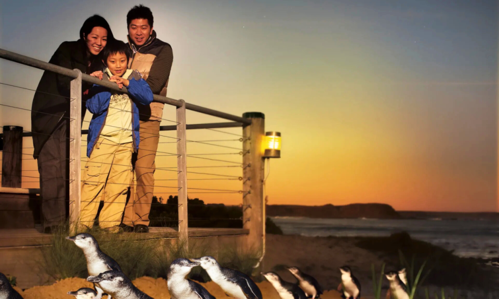 Phillip Island with Penguin Parade Eco Tour (Phillip Island with Penguin Parade Eco Tour with General Viewing (April to September)) - 2