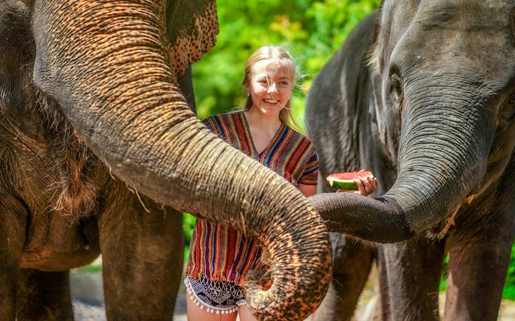 Elefanten füttern und duschen mit Schlammbad im Elephant Jungle Sanctuary auf Phuket: Geführte Touren mit optionalen Transfers (Feed an Elephant ) - 2