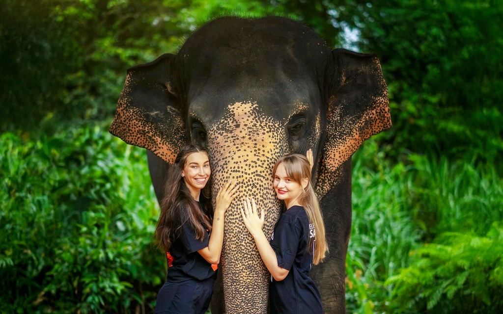 Elefanten füttern und duschen mit Schlammbad im Elephant Jungle Sanctuary auf Phuket: Geführte Touren mit optionalen Transfers (Feed an Elephant + Mud Spa & Bathe + Lunch ) - 1