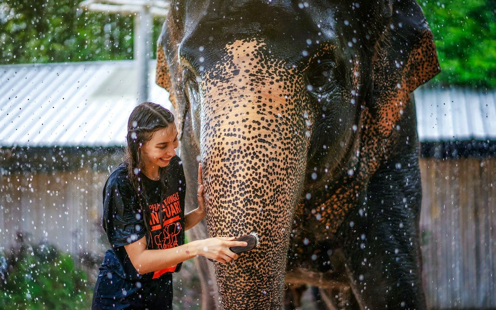 Elefanten füttern und duschen mit Schlammbad im Elephant Jungle Sanctuary auf Phuket: Geführte Touren mit optionalen Transfers (Feed an Elephant + Shower) - 3