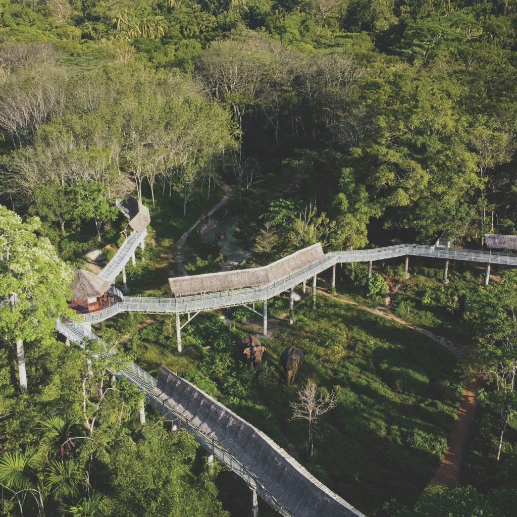 Santuari d'elefants de Phuket: programa de mig dia amb àpat vegetarià - No transfer included - 1