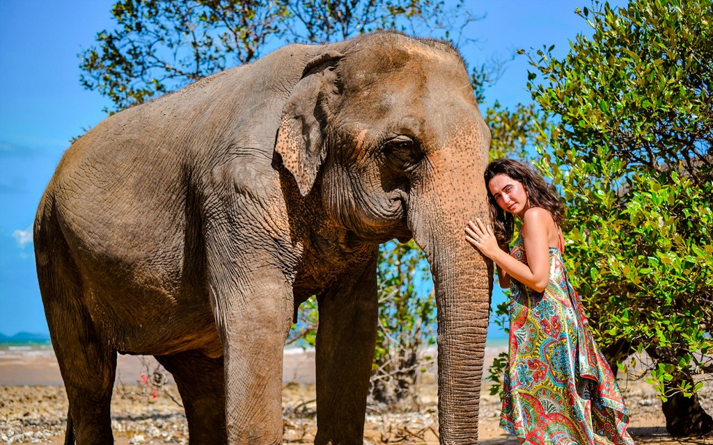 Elefanten füttern und duschen am Strand im Lily Elephant Camp Phuket: Geführte Touren mit optionalen Transfers (Feed an Elephant + Sea Bathe ) - 1