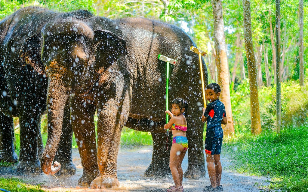 Elefanten füttern und duschen am Strand im Lily Elephant Camp Phuket: Geführte Touren mit optionalen Transfers (Feed an Elephant + Sea Bathe ) - 3