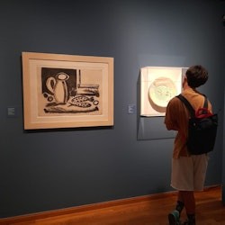 Picasso Birthplace Museum: Entry Ticket - 1