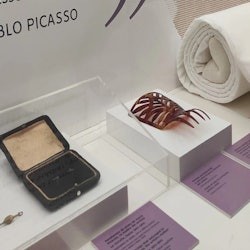 Picasso Birthplace Museum: Skip The Line Ticket + Guided Tour - 1