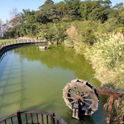 Pinglin Tea Culture & Maokong: Visita guiada d'un dia des de Taipei + Passeig en gòndola - 1
