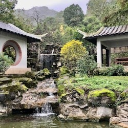 Pinglin Tea Culture & Maokong: Visita guiada d'un dia des de Taipei + Passeig en gòndola - 2