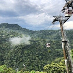 Pinglin Tea Culture & Maokong: Visita guiada d'un dia des de Taipei + Passeig en gòndola - 3