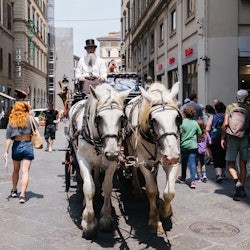 Pisa and Florence: Day Trip from Livorno - 3