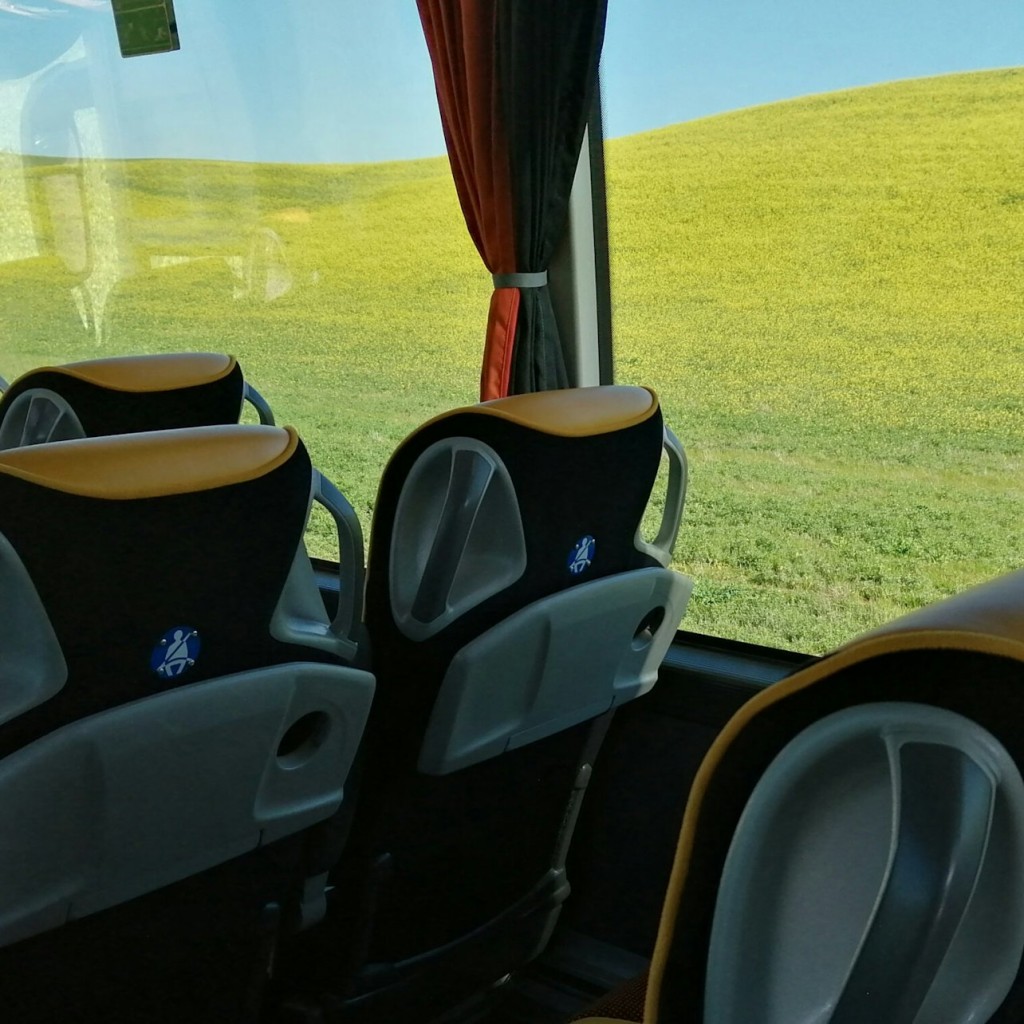 Pisa: Trasllat en autobús des de/cap a l'aeroport de Pisa i el centre de Florència - 1