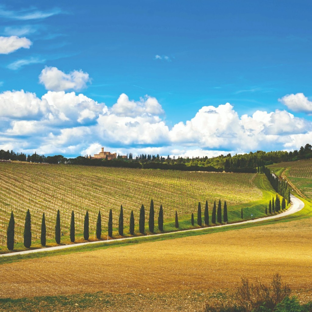 Pisa, Siena & San Gimignano: Day Trip from Florence + Wine Tasting - 1