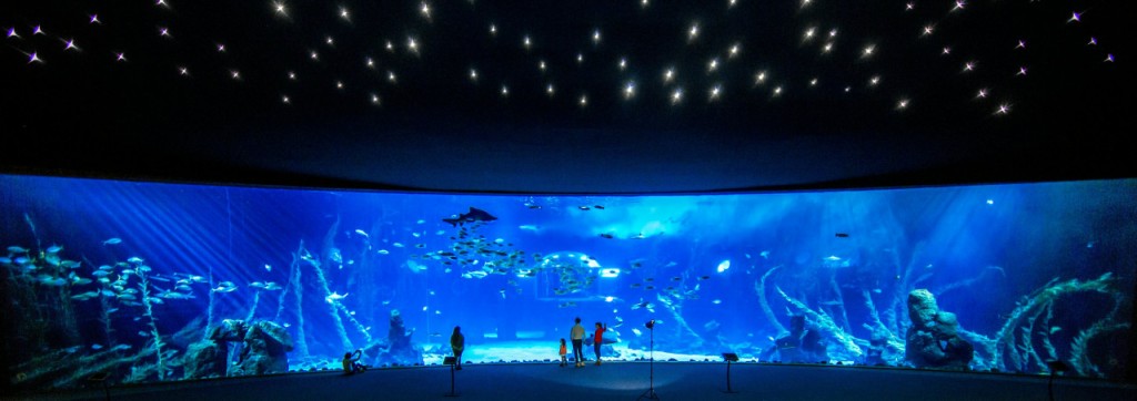Poema del Mar - Aquarium Gran Canaria: Skip The Line Ticket (Admission) - 1