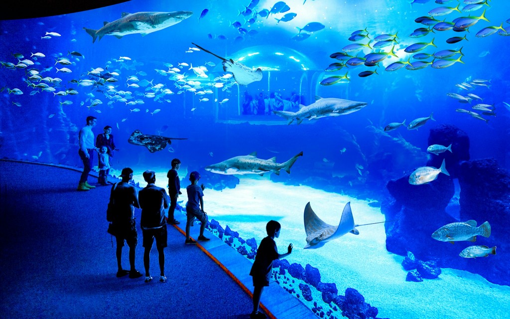 Poema del Mar Aquarium Tickets (Non-Residents) - 1