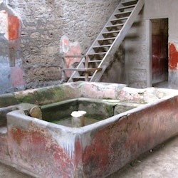 Pompeii: Guided Tour + Roundtrip from Naples - 3