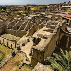 Pompeii & Herculaneum: Day Tour from Naples + Audio Guide - 1