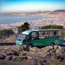 Pompeii & Mount Vesuvius: Day Trip from Rome - 3