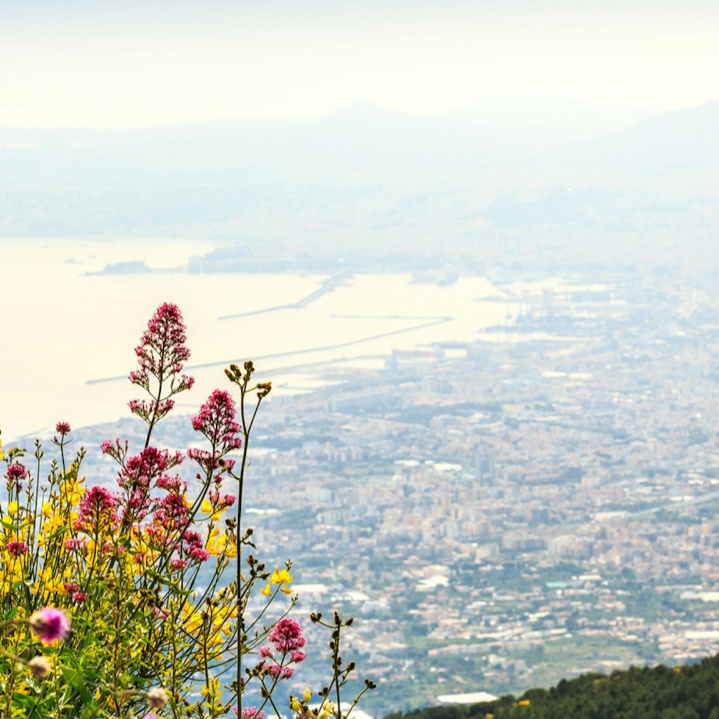 Pompeii & Mount Vesuvius: Skip The Line Ticket + Digital Audio Guide - 3