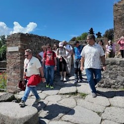 Pompeya y el Vesubio: Visita Guiada en Grupo Reducido + Ida y Vuelta desde Nápoles + Almuerzo - 3