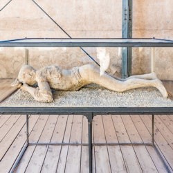 Pompeii Plus: Reserved Entry + Audio Guide - 2