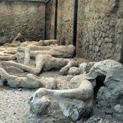 Pompeii Plus: Reserved Entry + Guidebook - 2