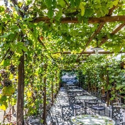 Pompeii: Skip The Line Ticket + High Speed Train from Rome - 1