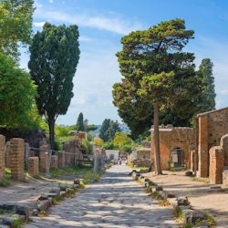 Pompeii: Skip The Line Ticket + High Speed Train from Rome - 2