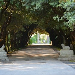 Pontifical Villas of Castel Gandolfo Gardens: Eco Minibus Tour - 2