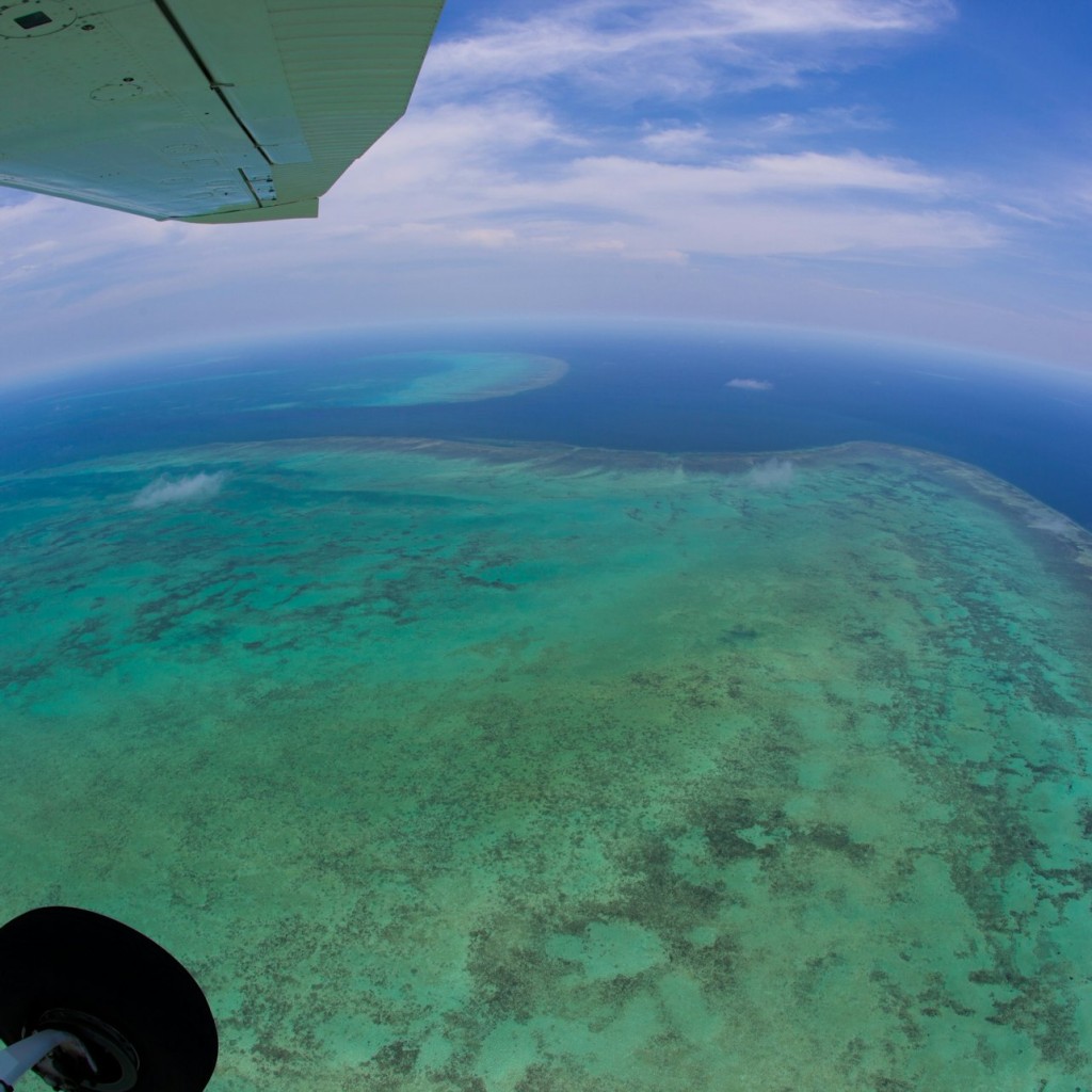 Port Douglas: Green Island Fly and Cruise - 1
