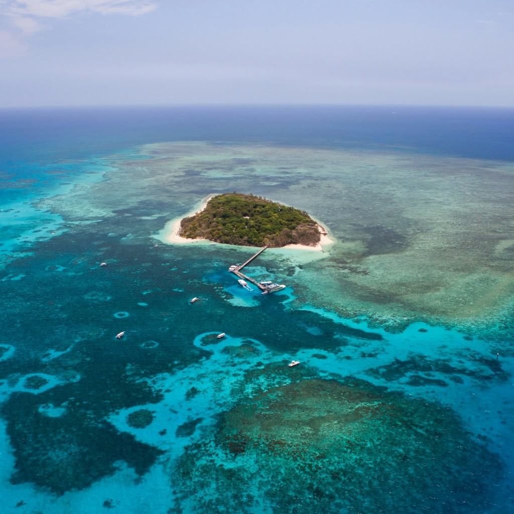 Port Douglas: Green Island Fly and Cruise - 2