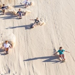 Port Stephens: Day Tour from Sydney + Dolphin Watching Cruise - 3