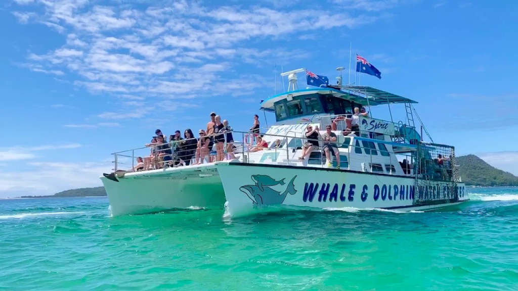 Port Stephens Dolphin Discovery Cruise - 2