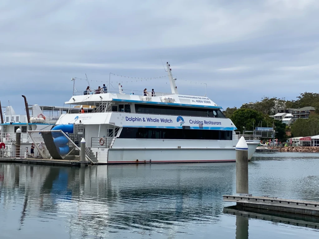 Port Stephens Dolphin Discovery Cruise - 3