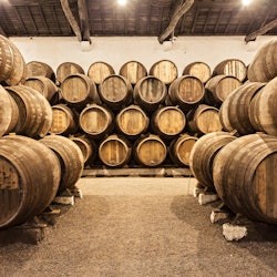 Porto: 48-Hr Hop-on Hop-off Bus + River Cruise + Wine Cellar - 3