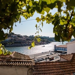 Porto: A Casa do Fado - Sao Joao Novo - 1